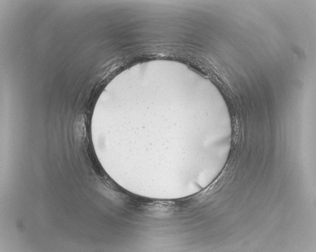 X0000116150128200912211516