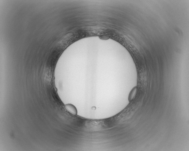 X0000116150129200912211516