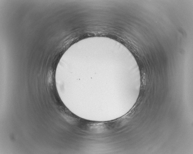 X0000116150132200912211516