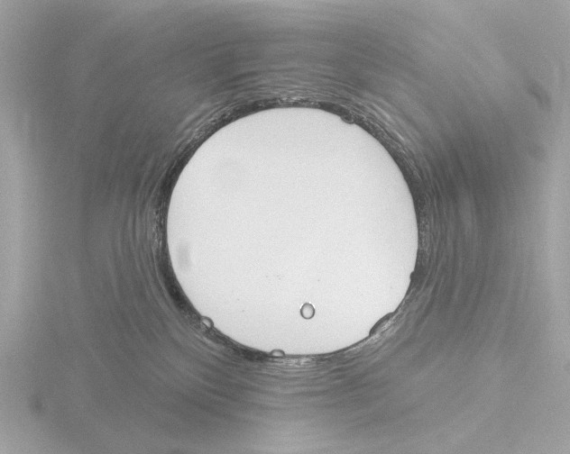 X0000116150136200912211516