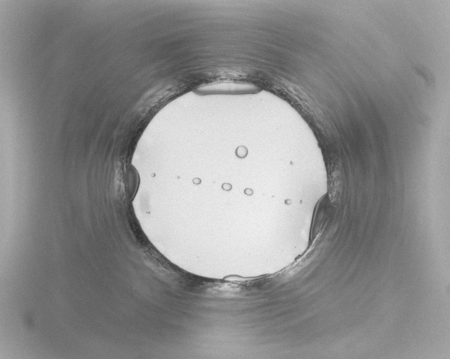 X0000116150140200912211516