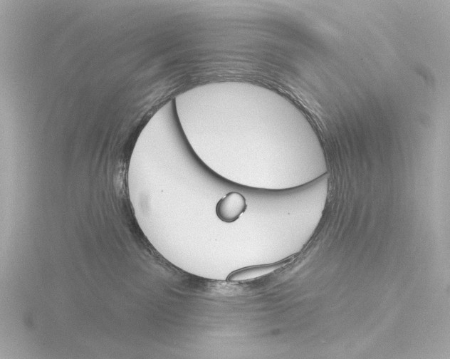 X0000116150141200912211516