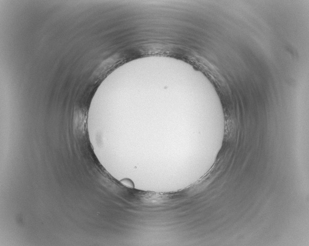 X0000116150142200912211516