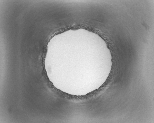 X0000116150144200912211516