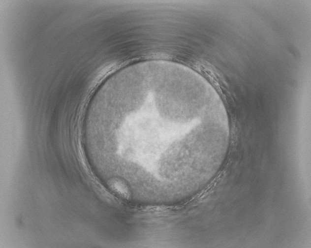 X0000116150145200912211515