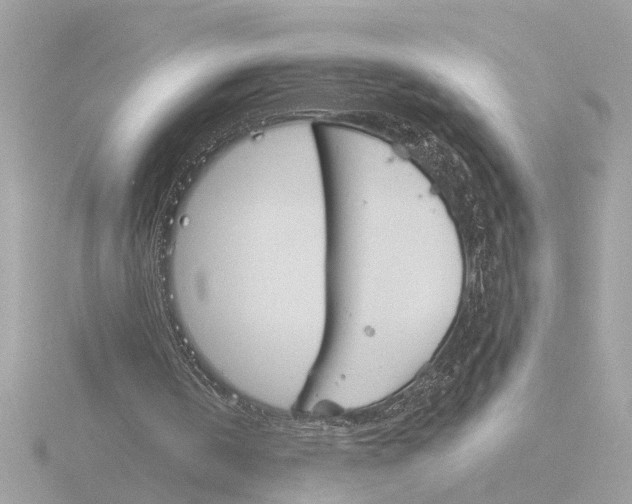 X0000116150146200912211515