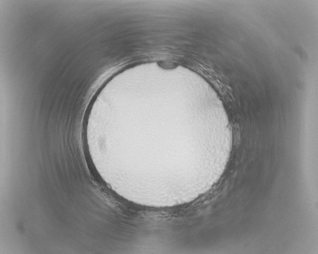 X0000116150147200912211515