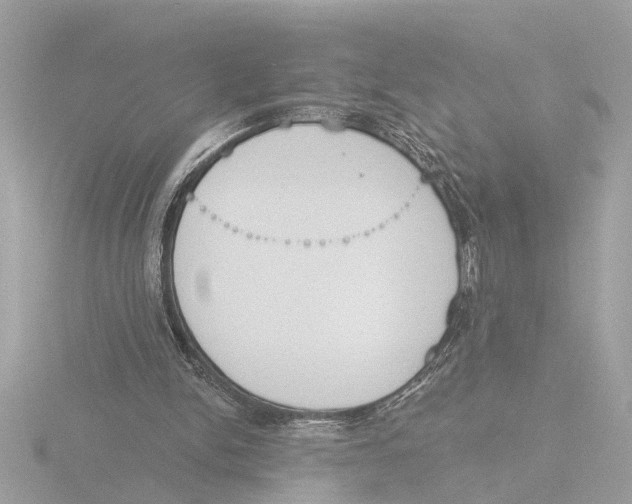 X0000116150150200912211515