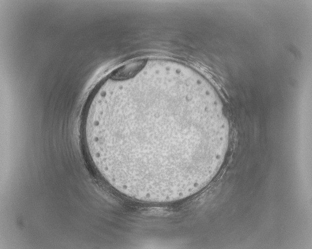 X0000116150151200912211515