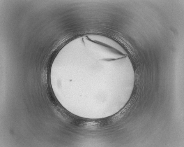 X0000116150158200912211515