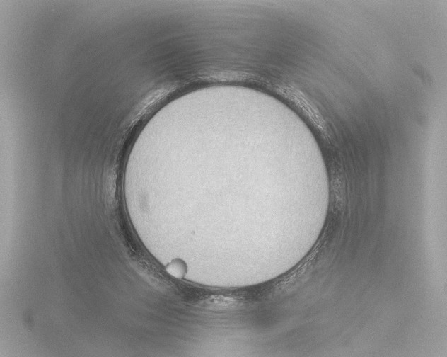 X0000116150159200912211515