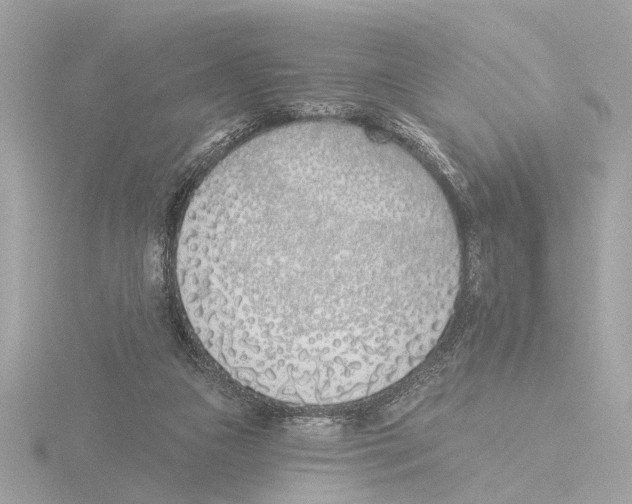 X0000116150161200912211515