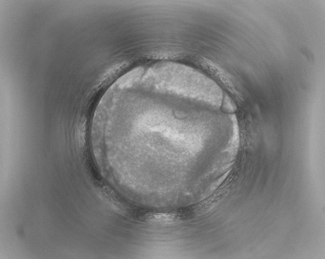 X0000116150163200912211515