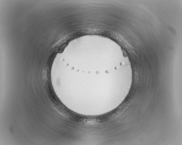 X0000116150165200912211515