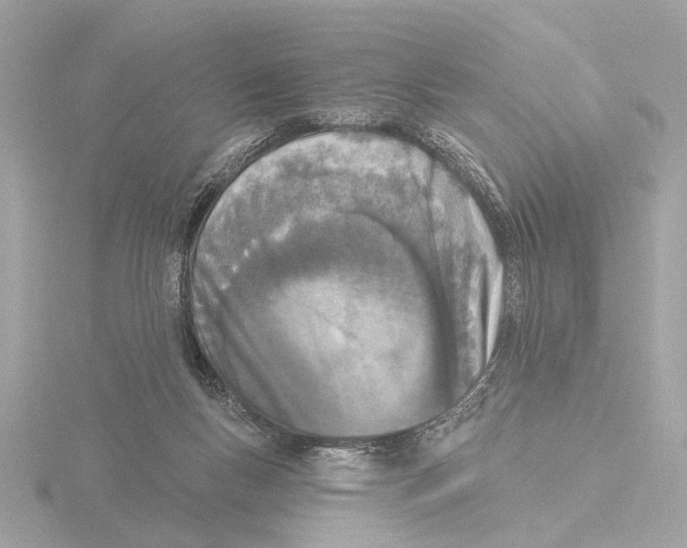 X0000116150167200912211515