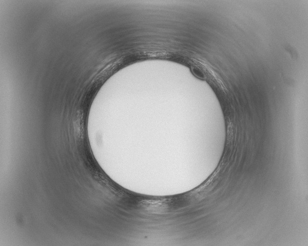 X0000116150170200912211516