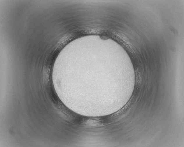 X0000116150171200912211516