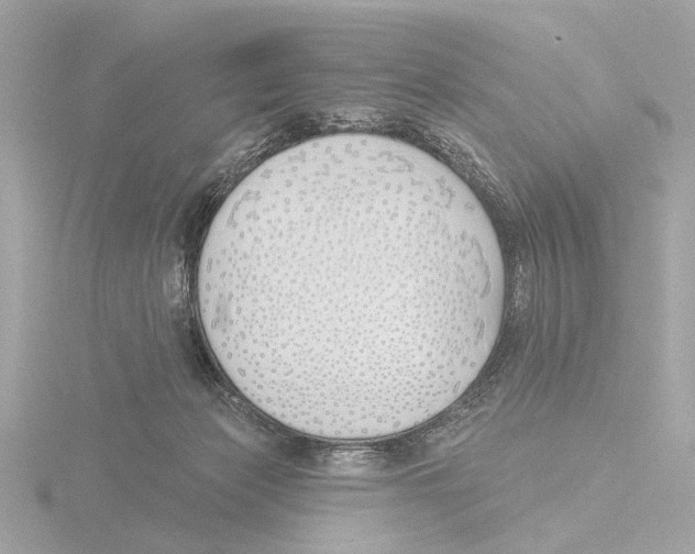 X0000116150173200912211516