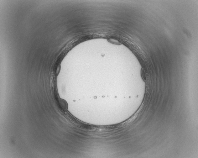 X0000116150174200912211516