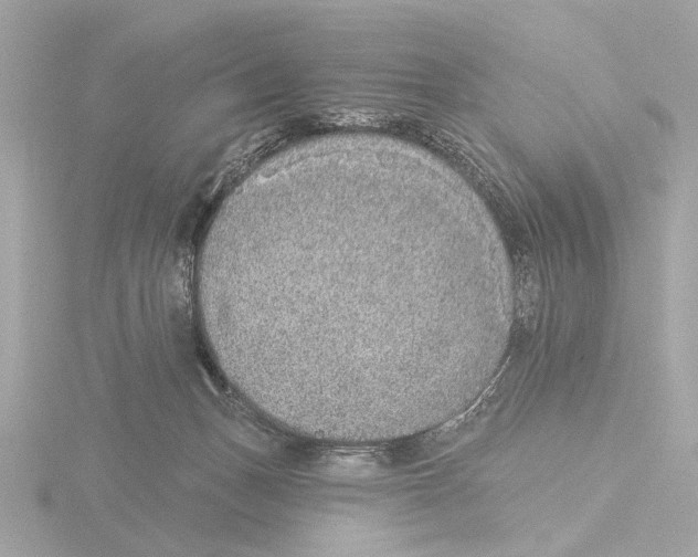 X0000116150175200912211516