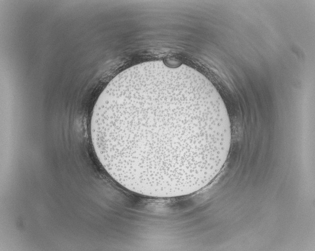 X0000116150182200912211516