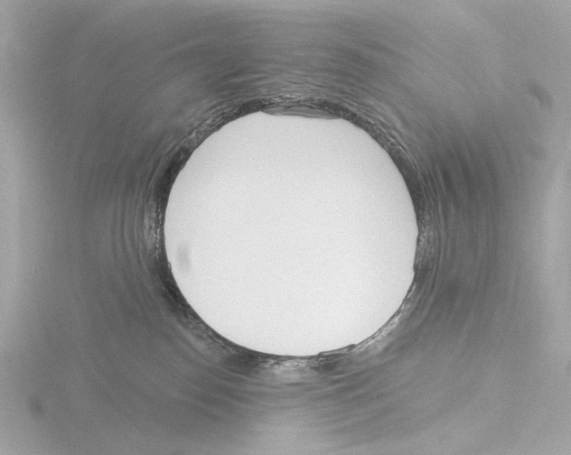 X0000116150186200912211516