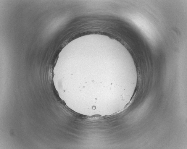 X0000116150190200912211516