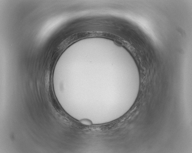 X0000116150194200912211515