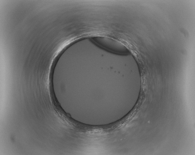 X0000116150196200912211515