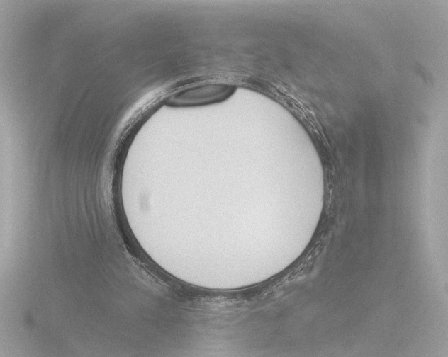 X0000116150197200912211515