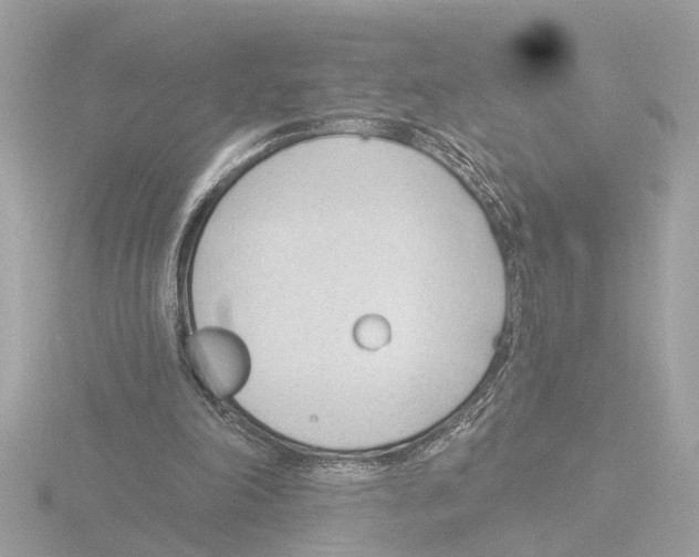 X0000116150198200912211515