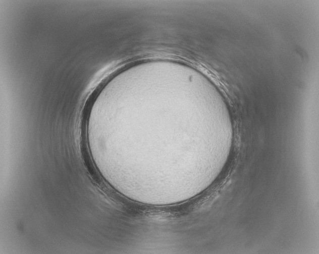 X0000116150199200912211515