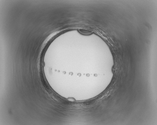 X0000116150200200912211515