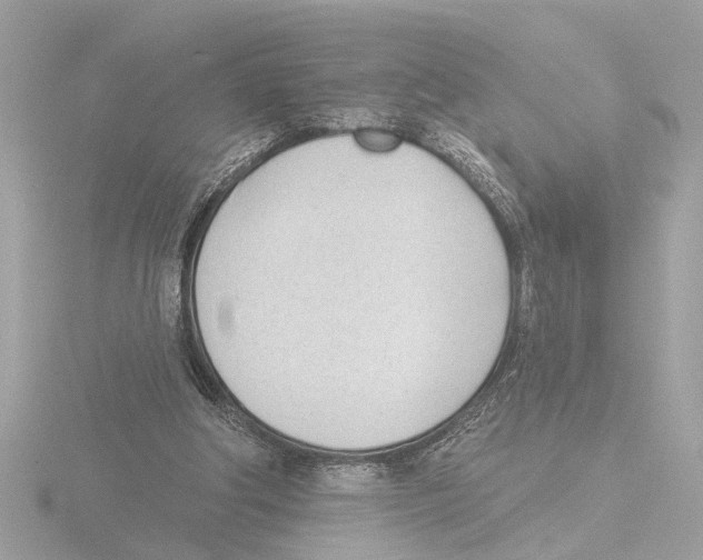 X0000116150202200912211515