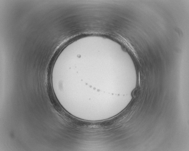 X0000116150204200912211515