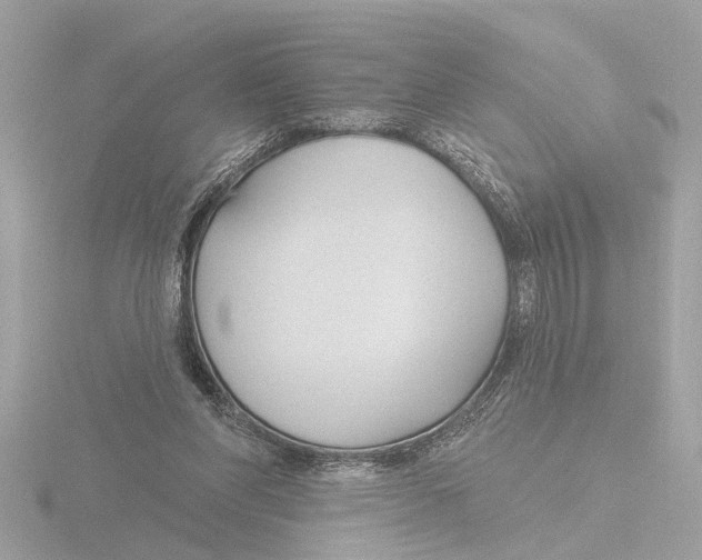 X0000116150206200912211515