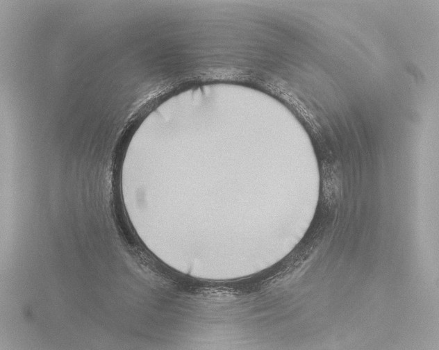 X0000116150207200912211515