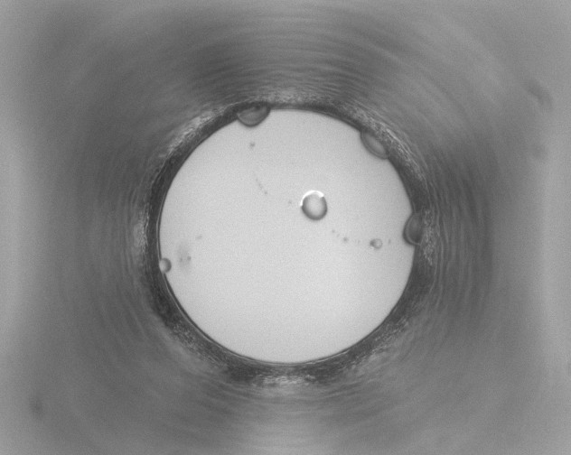 X0000116150208200912211515