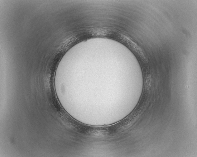 X0000116150209200912211515