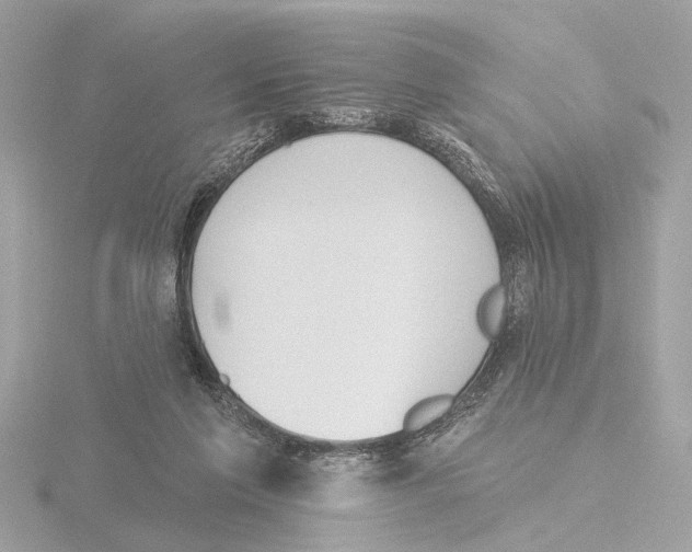 X0000116150213200912211515