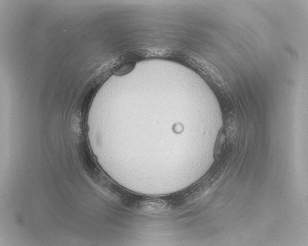 X0000116150215200912211515