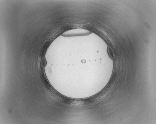 X0000116150217200912211515