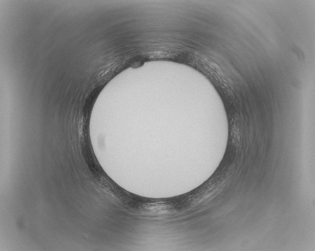 X0000116150219200912211515