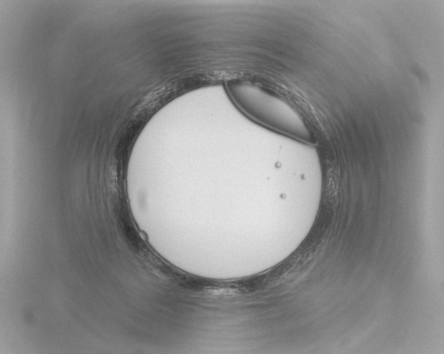 X0000116150220200912211515