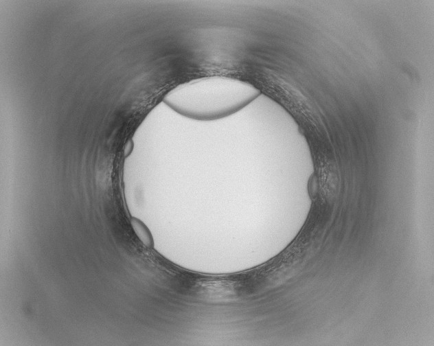 X0000116150221200912211515