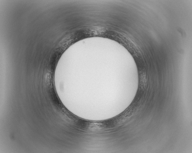 X0000116150222200912211515