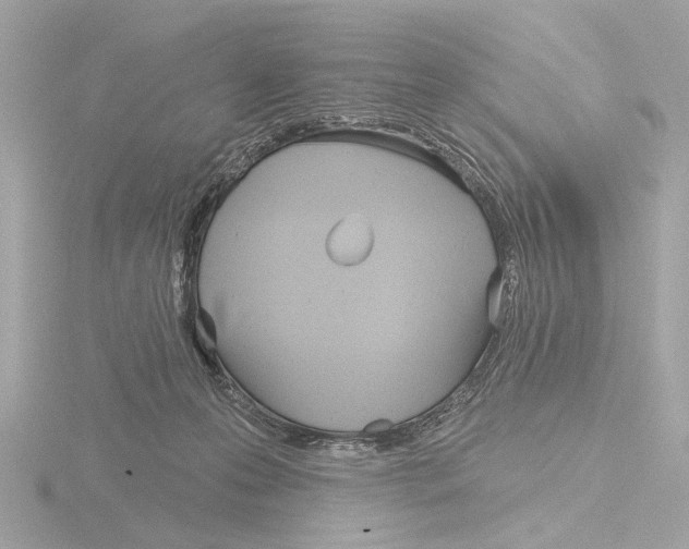 X0000116150223200912211515