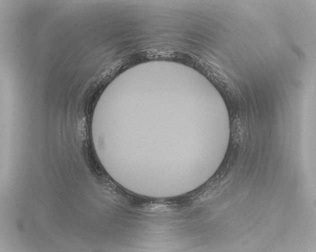 X0000116150224200912211515