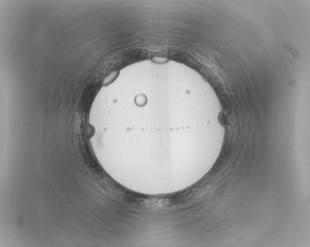 X0000116150225200912211515