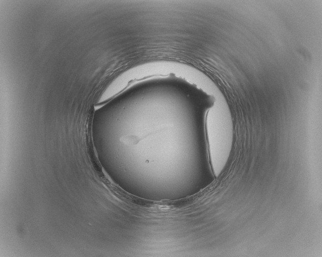 X0000116150227200912211515